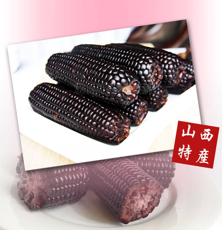 高品质新鲜甜糯玉米棒黑玉米棒紫玉米真空独立包装山西特产