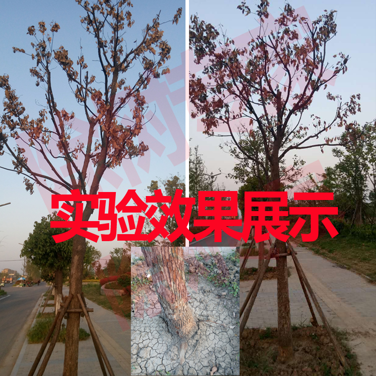 fbe4497ca2ae9cc8c582c83109c54177.jpeg