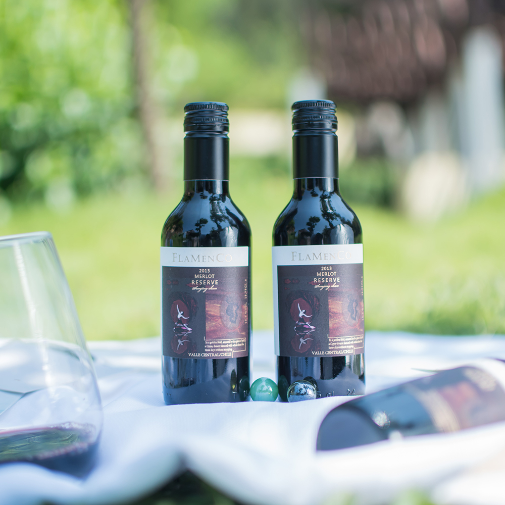 四折6瓶 超好喝干白葡萄酒 原装原瓶进口小瓶酒智利红酒 整箱特价